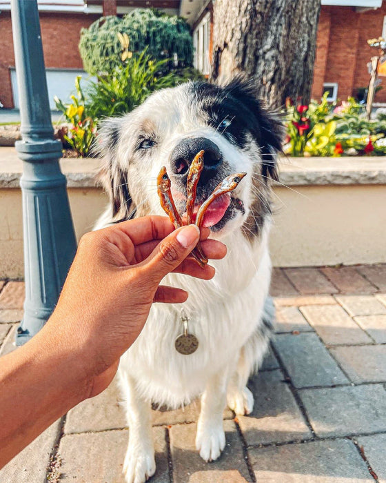 Naked Beasts Smelt (Wild Caught)