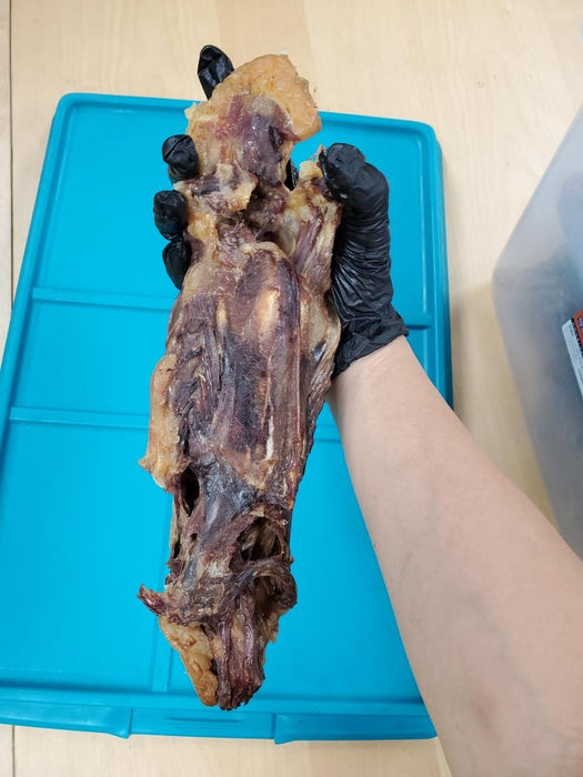 Naked Beasts Duck Frames (ABF)