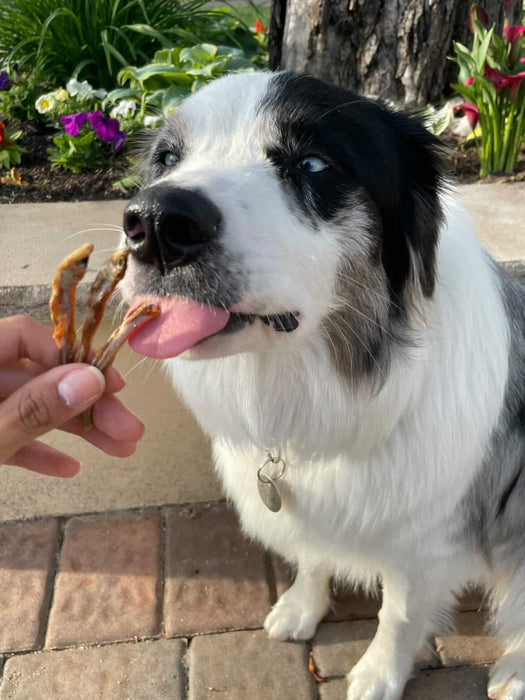 Naked Beasts Smelt (Wild Caught)