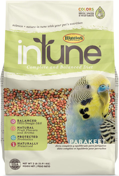 Intune Complete Diet Parakeet