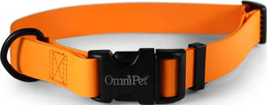 Carnival Biothane Dog Collar