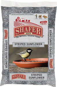 Shafer Striped Sunflower