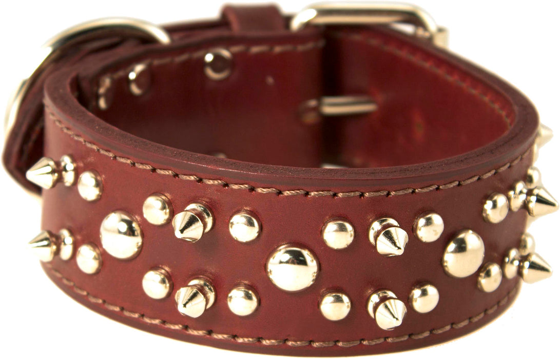 Latigo Leather Spike/Stud Dog Collar