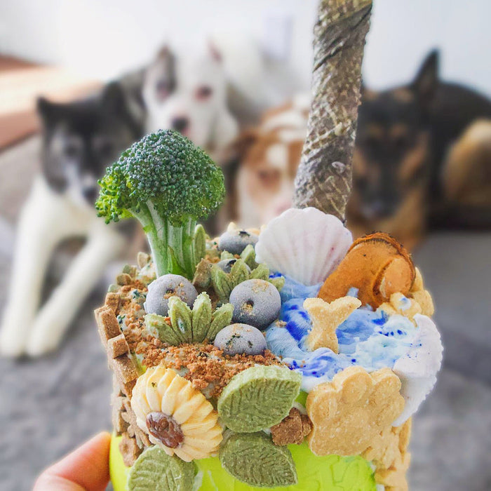 Naked Beasts Green Lipped Mussels