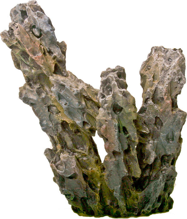 Exotic Environments Petrified Driftwood