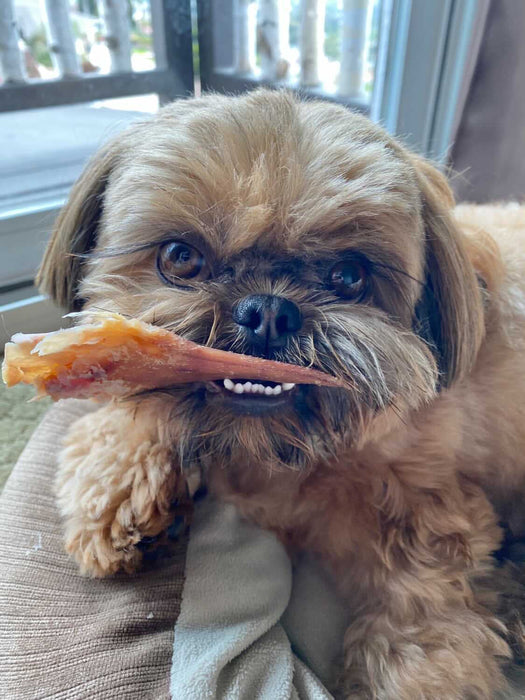 Naked Beasts Pig Ears