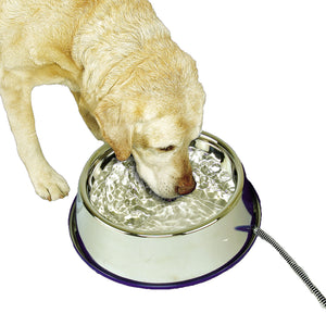 K&H Thermal Bowl Heated Pet Bowl
