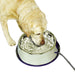 K&H Thermal Bowl Heated Pet Bowl