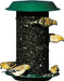Magnum Plastic Sunflower Screen Feeder