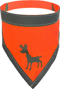 Visibility Dog Bandana