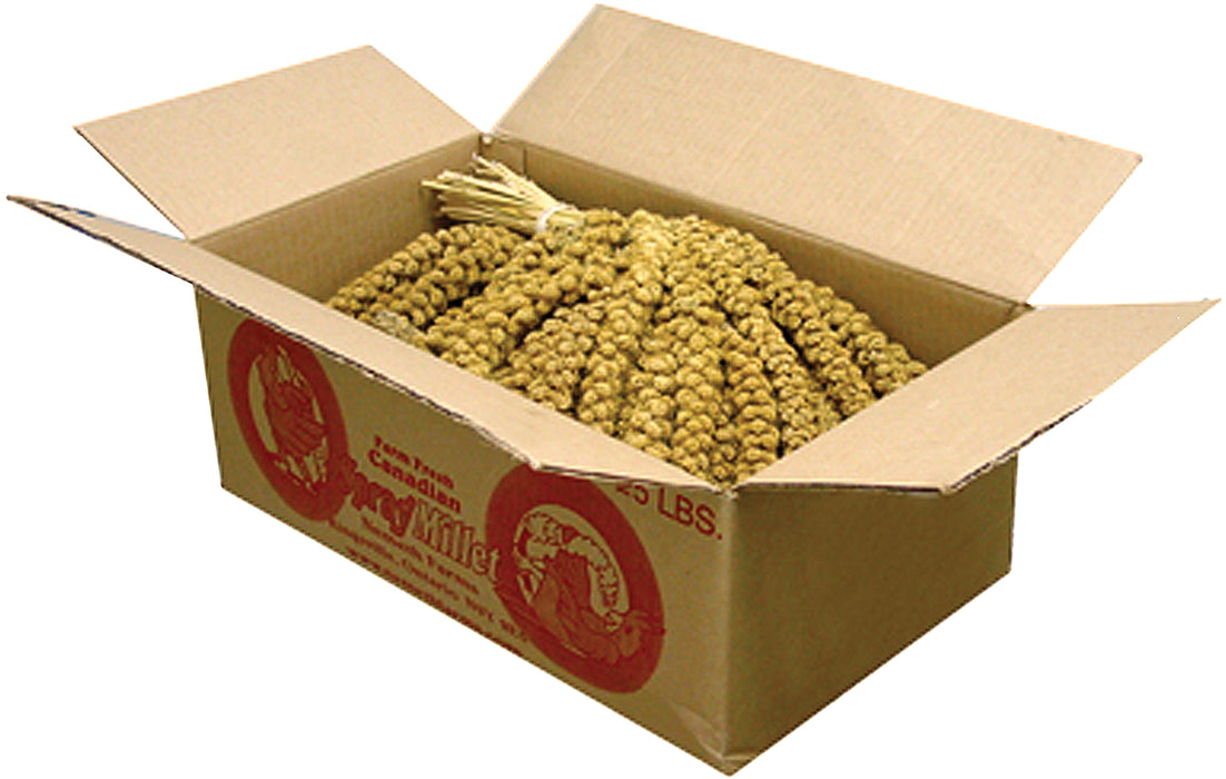 Brown'S Golden Millet Spray