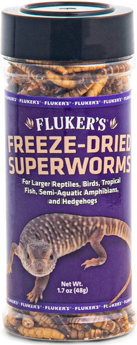 Flukers Freeze Dried Superworms