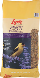 Lyric Finch Small Songbird Wild Bird Mix