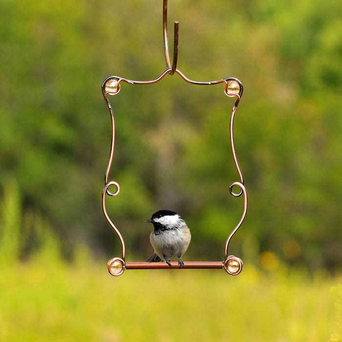 Perky Pet Beaded Hummingbird Swing