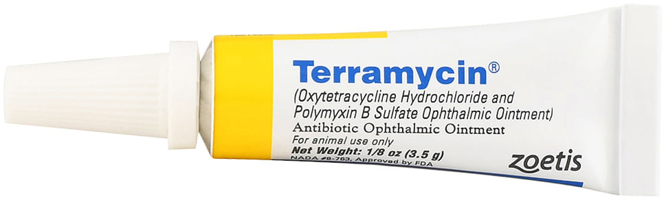 Rx Terramycin Eye Ointment