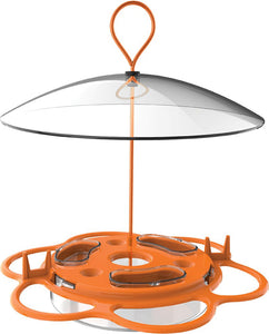 All-In-One Oriole Buffet