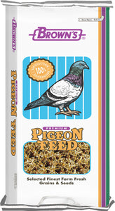 Conditioning Kafir Pigeon Food