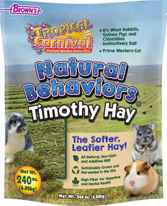 Tropical Carnival Natural Behaviors Timothy Hay
