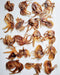 Naked Beasts Baby Octopus (Wild Caught) - 1 - Image 5
