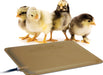 K&H Thermo Peep Heated Pad