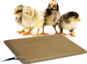 K&H Thermo Peep Heated Pad