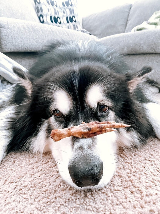 Naked Beasts Chicken Feet