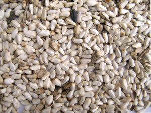 Generic Safflower Seed