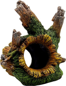 Exotic Environments Tree Root Tunnel