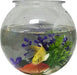 Komodo Round Plastic Fish Bowl