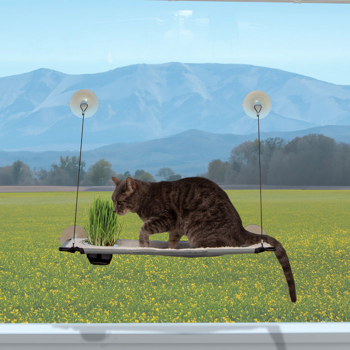 K&H Window Lounger With Grass Grow Station