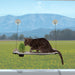 K&H Window Lounger With Grass Grow Station
