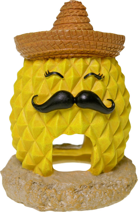 Exotic Environments Pineapple Sombrero