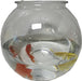 Komodo Round PlasticÂ Fish Bowl