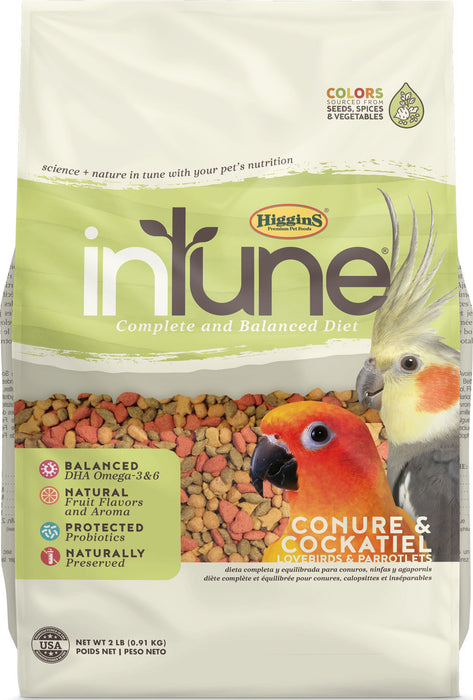 Intune Complete Diet Conure