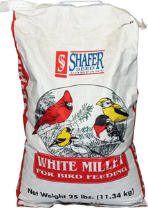 Generic White Millet