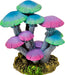 Exotic Environments Mushroom Garden