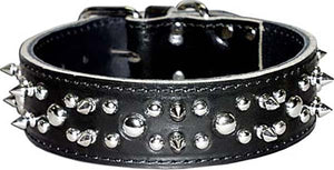 Latigo Leather Spike/Stud Dog Collar