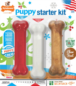 Nylabone Holiday Puppy Starter Kit Out-Season 0228