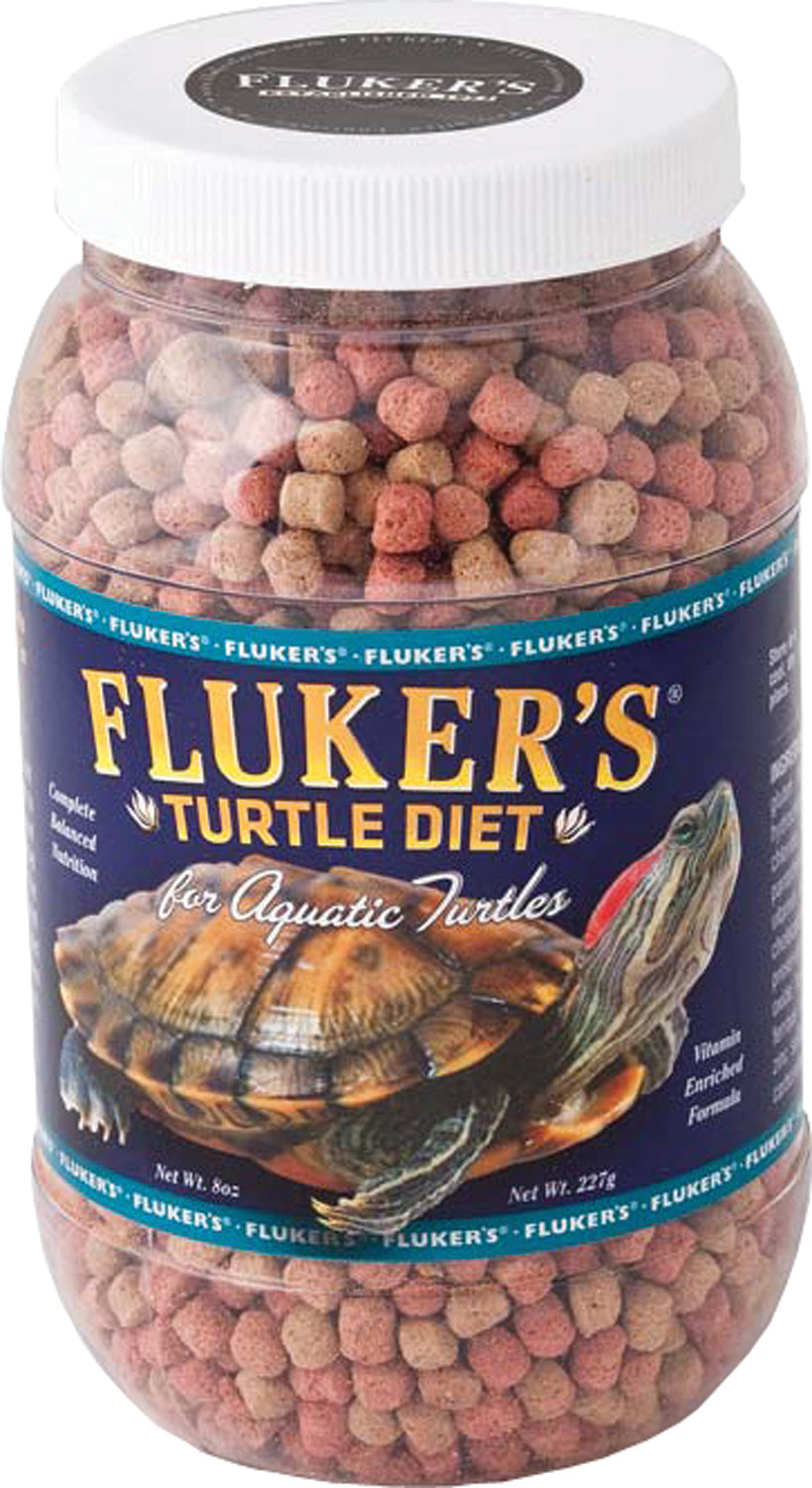 Turtle & Tortoise