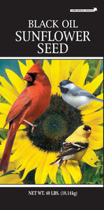 Generic Black Oil Sunflower Seed