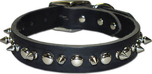 Latigo Leather 1 Ply Spiked Dog Collar