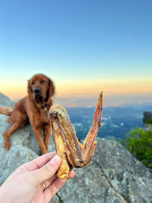 Naked Beasts Duck Wings (ABF)