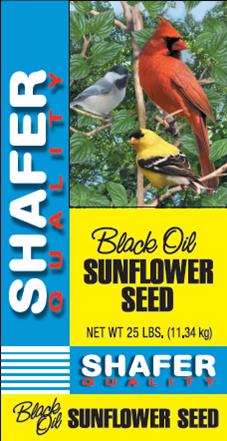Generic Black Oil Sunflower Seed