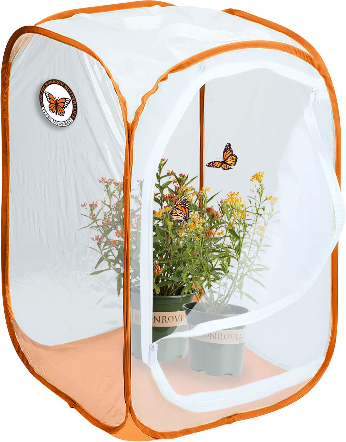 Birds Stands & Covers