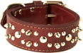 Latigo Leather Spike/Stud Dog Collar