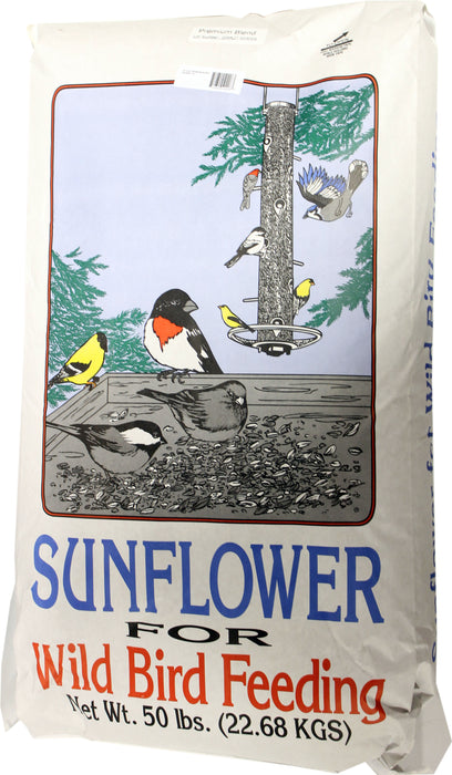 Generic Premium Sunflower Blend