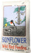 Generic Premium Sunflower Blend