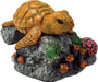 Exotic Environments Sea Turtle