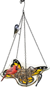 Monarch Butterfly Glass Feeder/Fruit Station