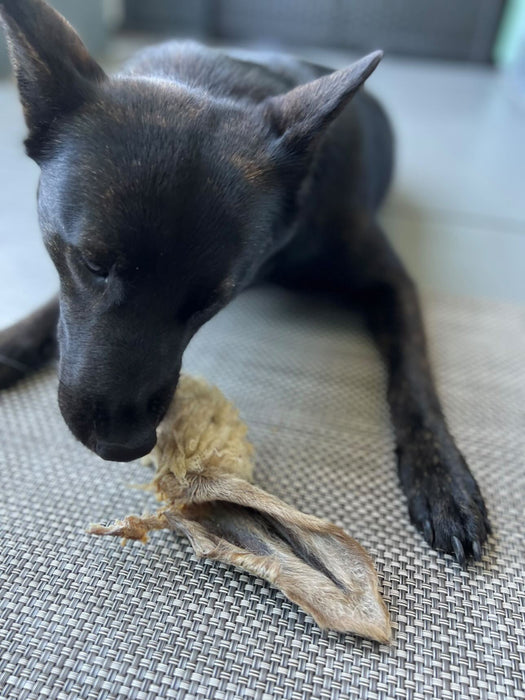 Naked Beasts Lamb Ears (Furry & Non Fur)